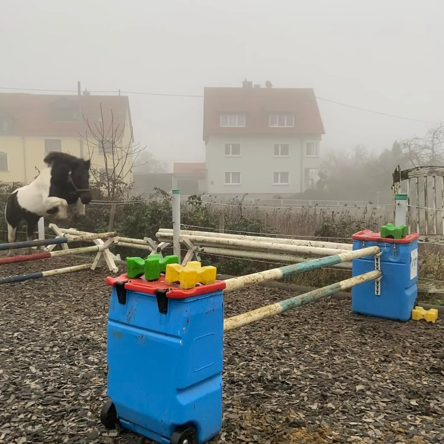 Kinderreitschule Igstadt - Reiten