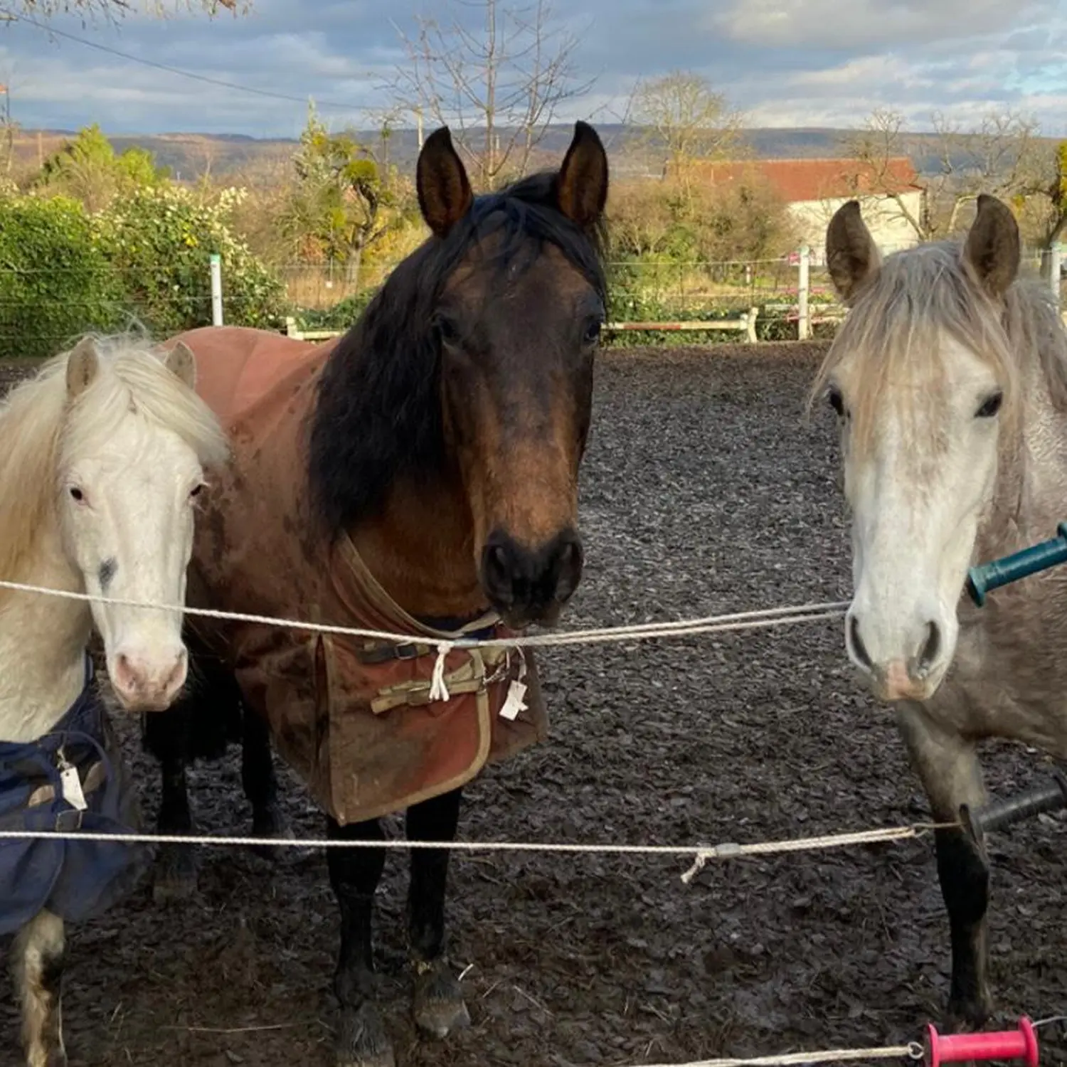 Kinderreitschule Igstadt