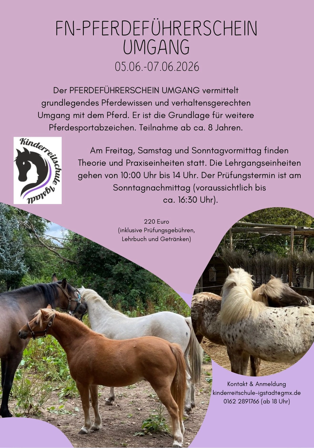 Flyer FN-Pferdeführerschein Umgang vom 5. bis 7. Juni 2026, Kursgebühr 220 Euro