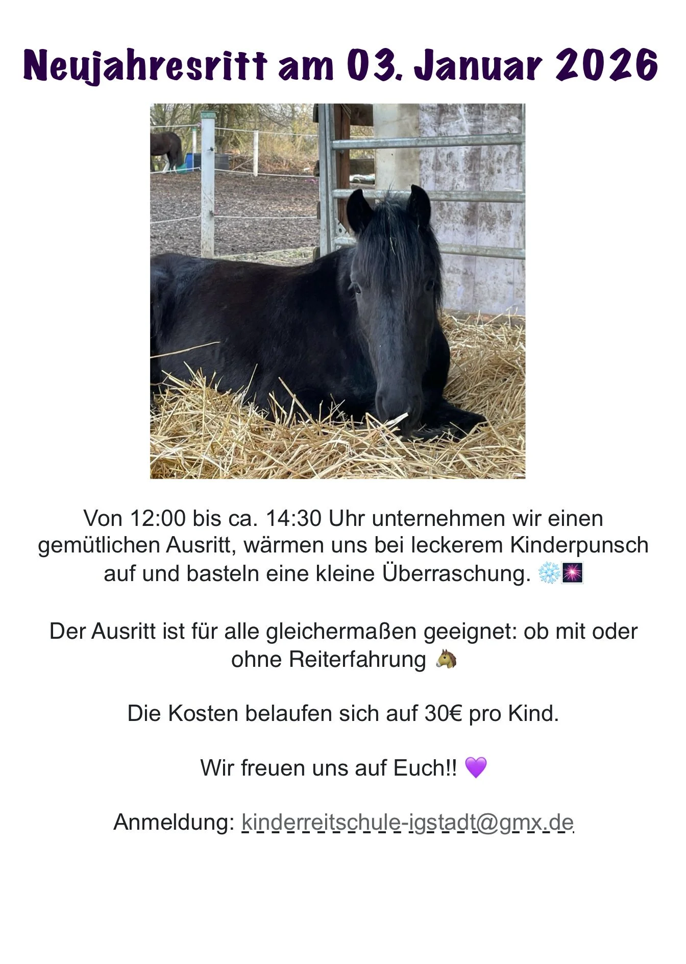 Flyer Neujahrsritt am 3. Januar 2026, 12 bis 14:30 Uhr, 30 Euro pro Kind